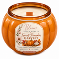 Sweet Pumpkin Harvest – 15 oz